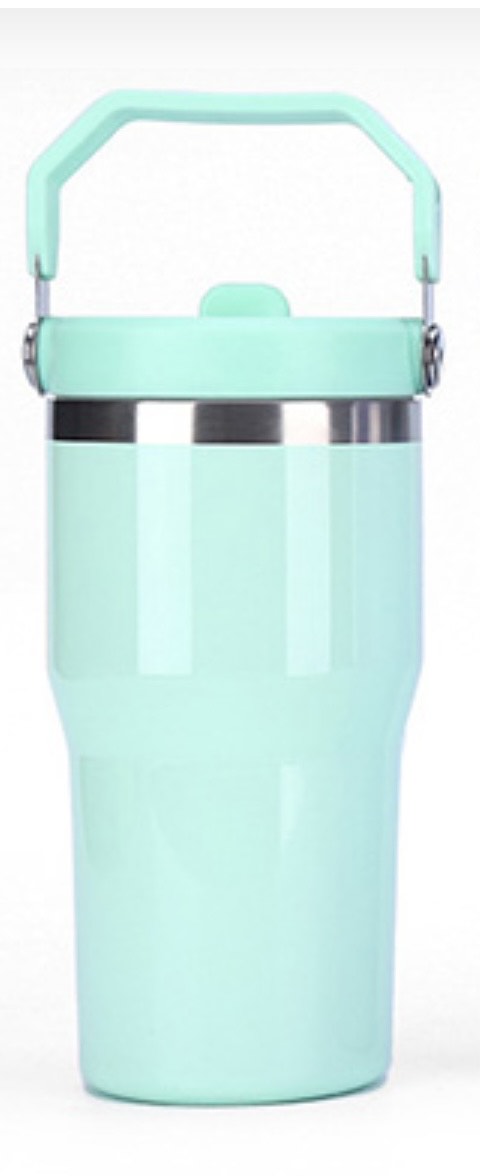 20 OZ Tumbler With Flip Straw